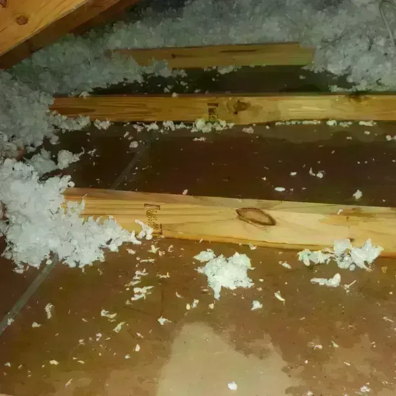 Attic Water Damage in South Padre Island, TX