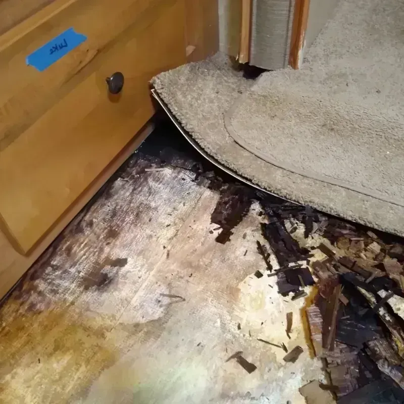 Wood Floor Water Damage in South Padre Island, TX